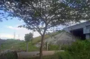 Kisruh Tukar Guling TKD Klitik dengan Proyek Tol Ngawi-Solo (2), Pernyataan Inkonsisten Pemerintahan Desa Klitik