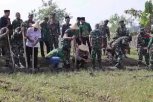 Dukung Ketahanan Pangan, Kodim 0725/Sragen Tanam Jagung