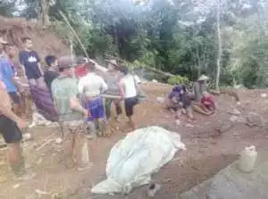Soal Korban Longsoran Tanah 4 Warga Citorek Tengah, Kadistan Lebak Terjunkan Tim Investigasi
