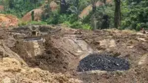 Anak-Istri Ismail Bolong Bakal Beri Keterangan Soal Tambang Ilegal di Kaltim