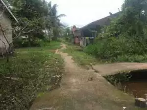 Jalan di Lorong Anggur 4 Lebung Gajah Tak Dicor, Warga Merasa Dianaktirikan 