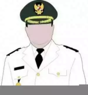 Diduga selewengkan Dana Desa, DPD Sumsel Aliansi Indonesia akan Laporkan Oknum Kades ke Kejari Banyuasin