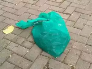 Polisi Usut Teror Kobra yang Dialami Mantan Gubernur Banten