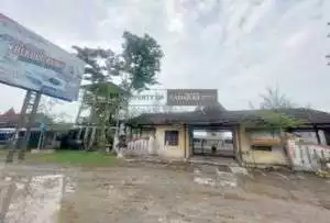 Kondisi Wisata Bledug Kuwu Grobogan Memprihatinkan, Tempat Tak Terawat Hingga Gapura Rusak Sampai Akses Jalan Pada Becek