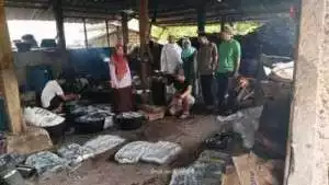 Dinas Perikanan Bina Mutu Pengolahan Ikan Pindang Di Mekarsari Cicurug