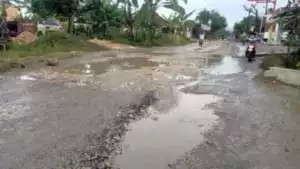 Dikeluhkan Banyak Warga Masyarakat, Jalan Penghubung Wirosari-Karangasem Grobogan Rusak Parah