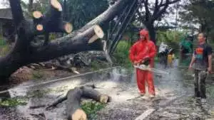 Innova Seruduk Truk di Tol Solo-Ngawi, 4 Orang Tewas