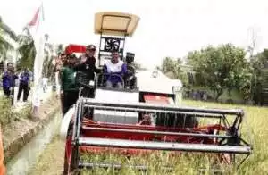Serentak Di 66 Kabupaten Se- Indonesia, Bupati OKU Timur Panen Padi Nusantara 