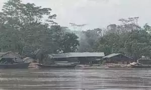 Kegiatan Illegal Logging Ternyata Masih Merajalela Di Desa Saka Tamiang Kecamatan Kapuas Barat, Ada Apa Ya??