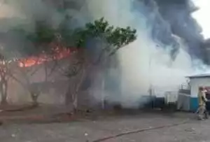 Si Djago Merah ngamuk gudang kopi kapal Api teerbakar