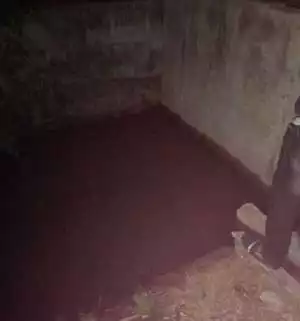 PT. Bina Karya Prima di KBN Marunda Diduga Buang Limbah B3 Berbahaya Langsung ke Selokan Umum
