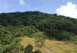 Untuk Kesejahteraan Masyarakat, Kerjasama Dengan Taman Nasional GHS Harus Ditingkatkan