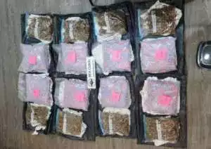 Bea Cukai Bandara Soetta Gagalkan  Penyelundupan 140 ribu Pil Ekstasi Tujuan Bali