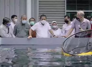 Dinas Kelautan dan Perikanan Kabupaten Sukabumi Rancang Pembangunan Kampung Unggulan Perikanan  