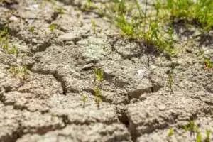 Pemkot Cilegon antisipasi dampakFenomena  El Nino untuk 3 Kecamatan