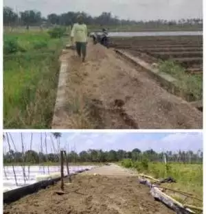 PPL dan Kades Sebut Berita Aliansinews Mengenai JUT Sudah Di handle Oleh Wartawan Dulur Bupati.