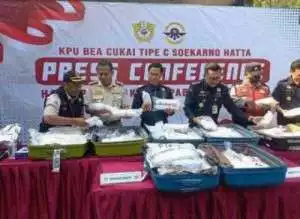  BC Soeta  Gagalkan  penyelundupan Benih Lobster senilai  26,5 Miliar rupiah