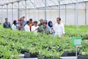 Tinjau Persemaian Mentawir, Presiden: Ini Komitmen Kita pada Lingkungan