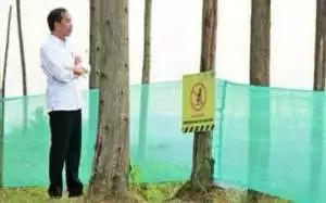 Presiden Jokowi pasang bilah pertama Garuda di Kantor Presiden IKN
