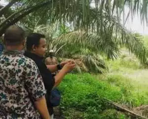 Tudingan SPL kepada PT. GPU dibantah Barisan Aktivis Hijau Sriwijaya, (BAHARI) : terkesan fitnah.