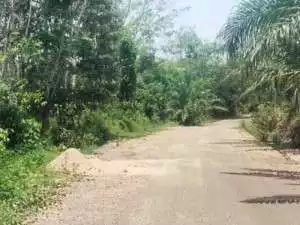 Habiskan anggaran Milyaran Rupiah, Jalan Kini Mulai Rusak!!