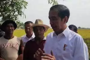Kata Jokowi, Gibran belum tentu mau jadi Cawapres