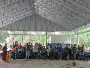 Budidaya Tanaman cabai Jadi Pilihan Program Ketahanan Pangan Desa Sepang kabupaten Oki.