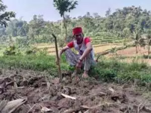 Caleg PSI SARONI Bertekad Benahi Sistem Pertanian Kabupaten Bogor