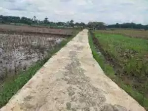 Camat Pampangan Kabupaten Ogan Komering Ilir, Berikan Pelayanan Prima bagi masyarakat