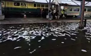 BMKG Prediksi Periode Mudik Dilanda Cuaca Ekstrem Sepekan