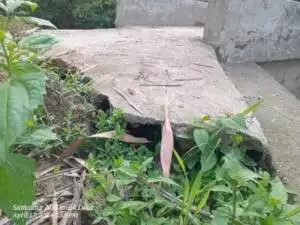 Budidaya Lebah Madu Desa Karya Mulia Habiskan Puluhan Juta Tersebar ke Desa Lain