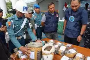 TNI AL gagalkan penyelundupan 13 Kg ganja di perbatasan RI-Papua Nugini