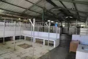   RPH Bayur, Tempat Penitipan Hewan qurban, biayanya hanya Rp60 ribu per ekornya