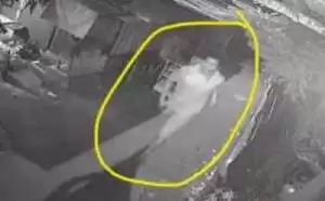 Berusaha kabur, penikam yang tewaskan imam mushola ditembak polisi