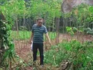 Nyaris diperkosa saat olahraga pagi, pelaku kabur setelah dipergoki warga