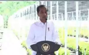 Jokowi tegaskan izin tambang ormas keagamaan diberikan dengan syarat ketat