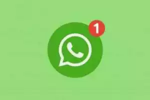 Urutan status di WhatsApp akan berubah, intip yuk!