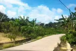 Sukolilo - Pati ''trending'', TKP bos rental dihakimi massa itu ternyata terkenal sarang bandit