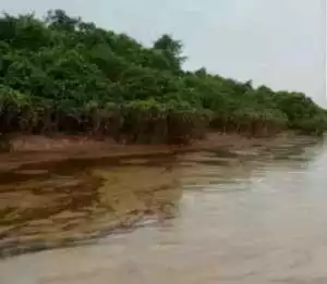 Pertamina Wilayah Sumbagsel diminta Bertanggung Jawab atas Ilegal Driling di Muba