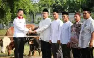 BSSN: Kurban Sebagai Salah Satu Bentuk Menumbuhkan Semangat Persaudaraan