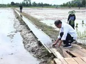 Antisipasi kekeringan, Presiden instruksikan Mentan tambah pompa air
