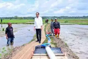 Jokowi tinjau penyaluran bantuan pompa di Bone, Sulsel