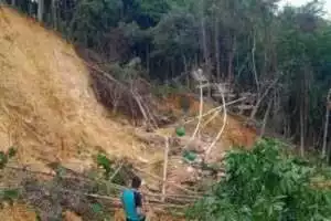 Longsor tambang emas di Sumawa, Gorontalo, 5 meninggal dan 2 luka berat