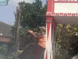 Antisipasi Pohon Tumbang, Satgas Kecamatan Cileduk Gerak Cepat Pangkas Pohon