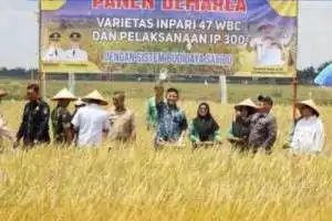 Kejari OKU Timur Kembalikan Uang Rp 2.4 Miliar Hasil Sitaan Kasus Korupsi Bawaslu OKU Timur ke Kas Daerah