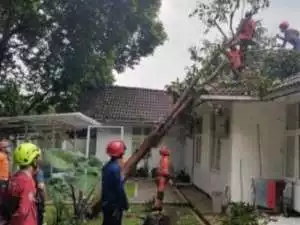 Pohon Tumbang Akibat Hujan Deras dan Angin Kencang Menimpa Rumah Dinas Kapolresta Bogor.