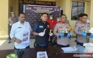 Polres Pandeglang Tangkap 3 pelaku Penyelundupkan 2000 Baby Lobster