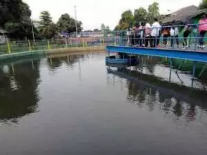 Indeks kesehatanlLingkungan Kota Tangerang berjalan baik, 98,35 persen telah gunakan sanitasi sehat