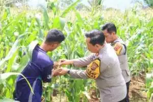 Polres Bogor Gelar Sosialisasi Ketahanan Pangan untuk Dukung Program Beyond Trust Presisi Tahap 4.