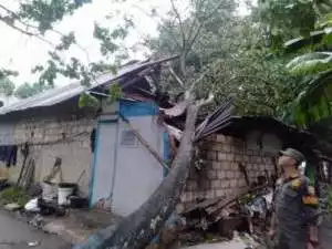 Kepolisian Polres Bogor Berhasil Ungkap Diduga Pelaku Pembunuhan Mayat Yang Ditemukan Di Pamijahan Kecamatan Cibingbulang Kabupaten Bogor.